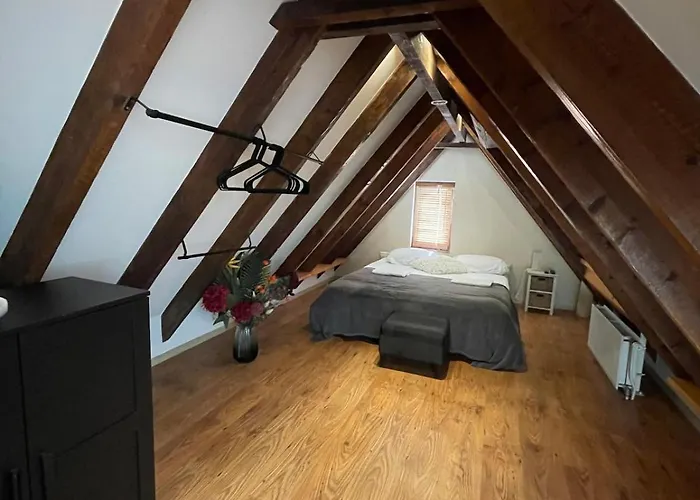 Sandy Soul Escape Zandvoort